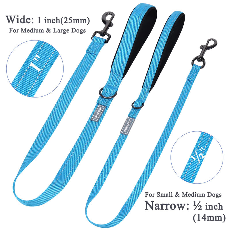 VIVAGLORY Dog Leash Dailyx Pet Leash with Soft Padded Handle for Training & Walking, Heavy Duty & Double Layer Nylon for Pet Puppy, 4ft x 1in, Lake Blue Leash (4 ft. x 1 in.) - PawsPlanet Australia