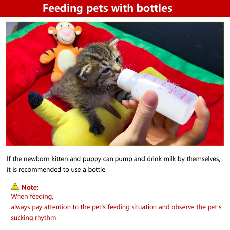 Pet Feeding Bottle and Syringe Set for Puppies and Kittens - PawsPlanet Australia