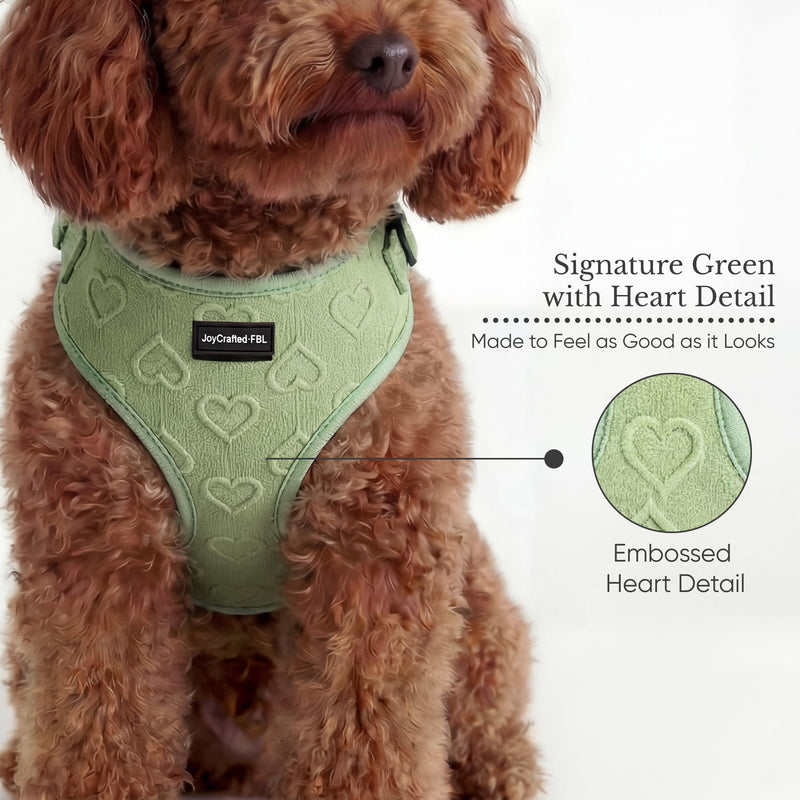 No Pull Dog Harness & Leash Set | Lightweight Breathable Neoprene, Cute Heart Pattern, Adjustable Step-In Vest,Soft Padded with Back D-Ring, XXS-L Small Dogs | Harness & Leash Set Green Harness Leash Set-Green S-Small - PawsPlanet Australia