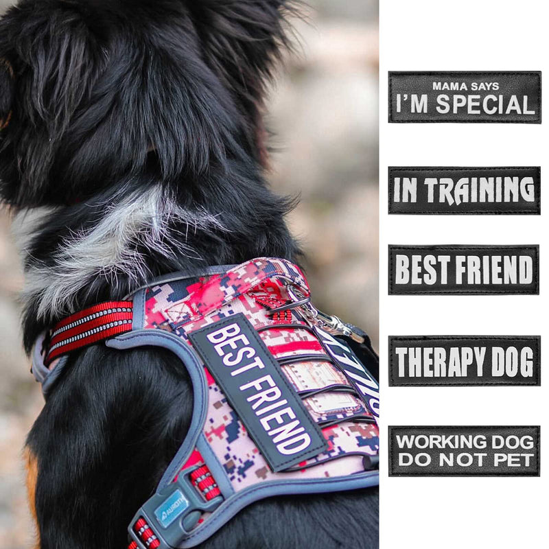 AUROTH Service Dog Vest Patches - 10 Pieces, Reflective and Removable Harness Patches for Training L-5.5X2.0” Series 1 - PawsPlanet Australia