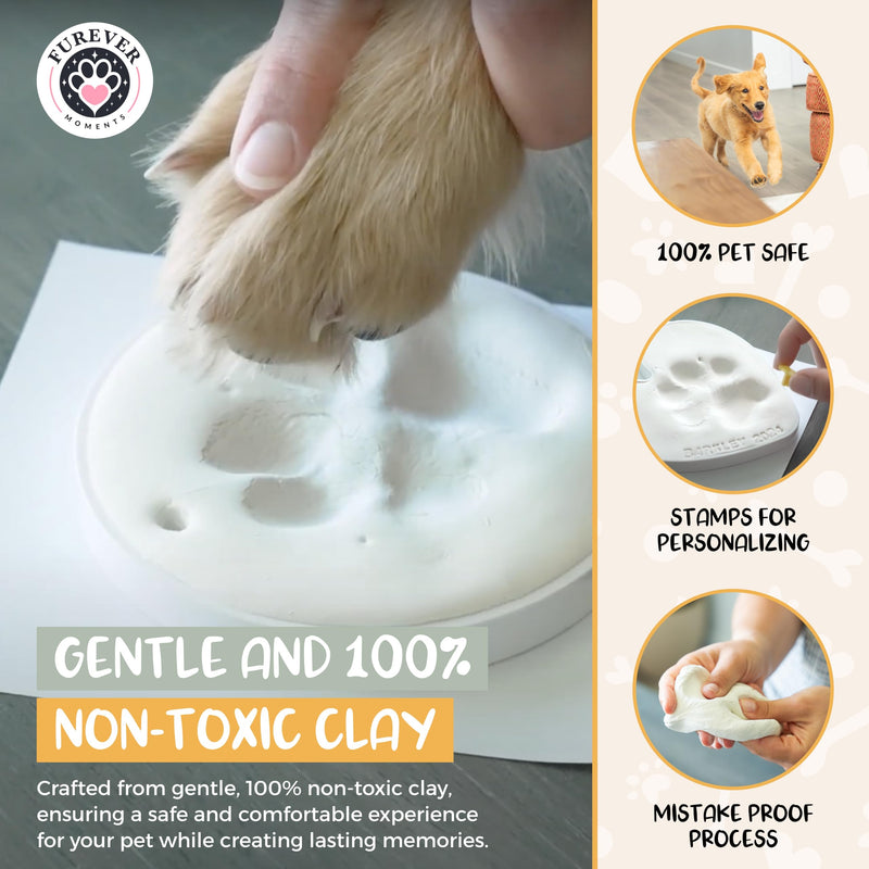 Pet Paw Print Impression Kit Makes (2) Dog Keepsake Ornaments, Inkless Paw Print Kit for Dogs (and Cats!) - Dog Paw Print Kit Keepsake, New Puppy Gift, Pawprint Keepsake Kit w/ Paints & Name Stamps! White - PawsPlanet Australia