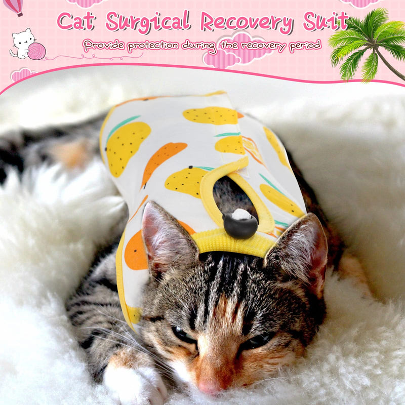 3 Pieces Cat Recovery Suit Kitten Recovery Suit E-Collar Alternative for Cats and Dogs Abdominal Skin Anti Licking Pajama Suit (Fruit Pattern,Medium) Fruit Pattern Medium - PawsPlanet Australia