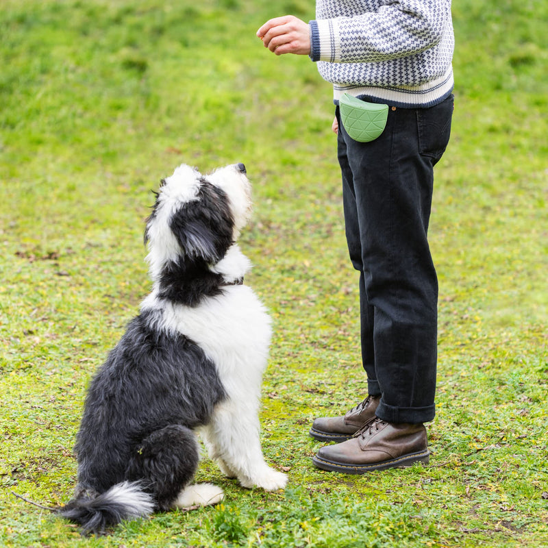 Navaris Silicone Dog Treat Pouches (Set of 2) - Dog Treat Pouch Holder Bag with Clip for Training, Treats, Leash - Triangle Design - Green and Gray - PawsPlanet Australia