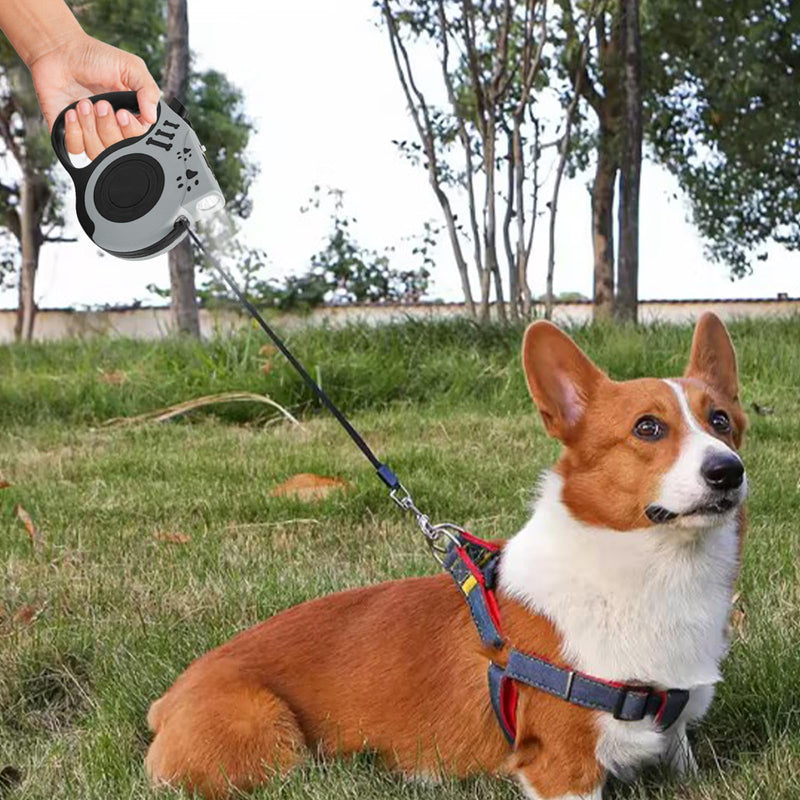 16FT Retractable Dog Leash with LED Flashlight for Night Walking, USB Rechargeable Hands-Free Leash for Small Medium Dogs, Automatic Locking & Extending, Grey - PawsPlanet Australia