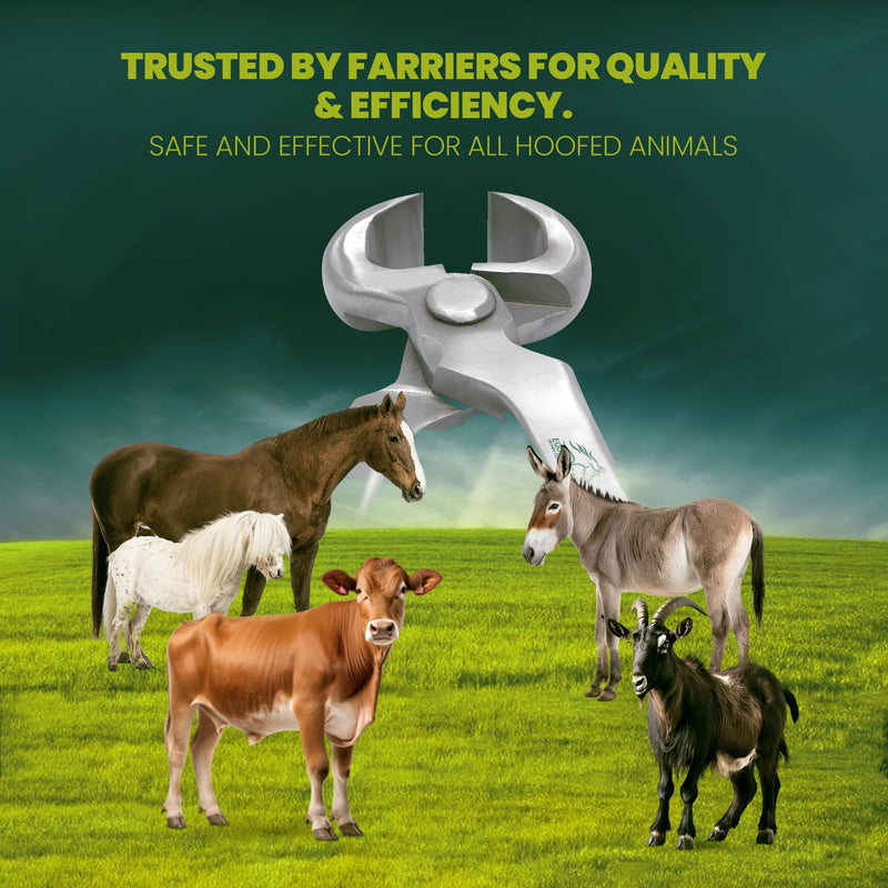 Equine Care 12" Spring Loaded Hoof Nipper, Drop Forged Chrome Vanadium Steel, Oil Tempered, One-Handed High Leverage Farrier Hoof Trimmer for Horses, Donkeys, Cattle & Livestock 12 inch