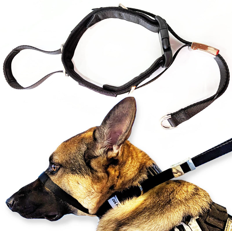 PetsProMax Dog Headcollar for Pulling & Reactive Dogs – No-Pull Training Collar with Behind-Head Leash Hook for Peaceful Walks, Instantly Stops Pulling Without Choking, Pinching, or Hurting Neck (XL) Extra Large (XL) Black - PawsPlanet Australia