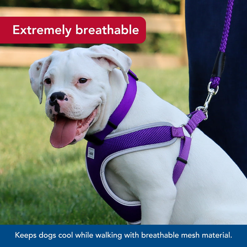 Coastal Pet Comfort Soft Reflective Wrap Adjustable Dog Harness - No-Pull Dog Harness for Small & Large Dogs - Purple - 1" x 28"–36" - PawsPlanet Australia
