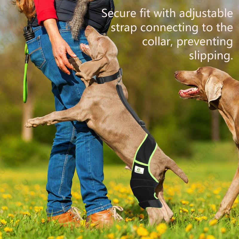 Dog Knee Brace for Hind Legs with Extra Collar & Strap - Relieves Joint Pain & Discomfort, Enhances Mobility | Supports Recovery from Osteoarthritis, Torn ACL/CCL, Luxating Patella | Adjustable (L) Large - PawsPlanet Australia