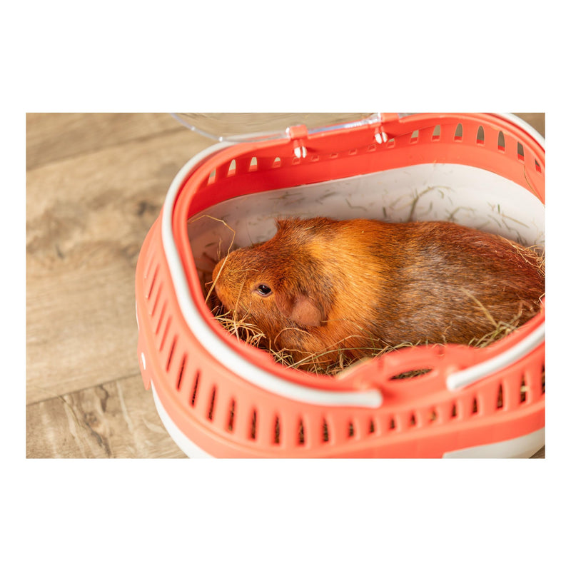 TRIXIE Pico Transport Crate, Small Pet Carrier, Portable Travel Carrier, for Small Pets, Hamsters, Guinea Pig, Lizards 11.8"L x 8.3"W x 9.1"H - PawsPlanet Australia