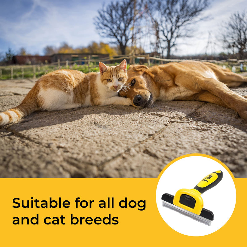 Best Professional Deshedding Tool and Pet Grooming Brush – D-Shedz by Thunderpaws for Small, Medium and Large Breeds of Dogs and Cats with Short or Long Hair Yellow - PawsPlanet Australia