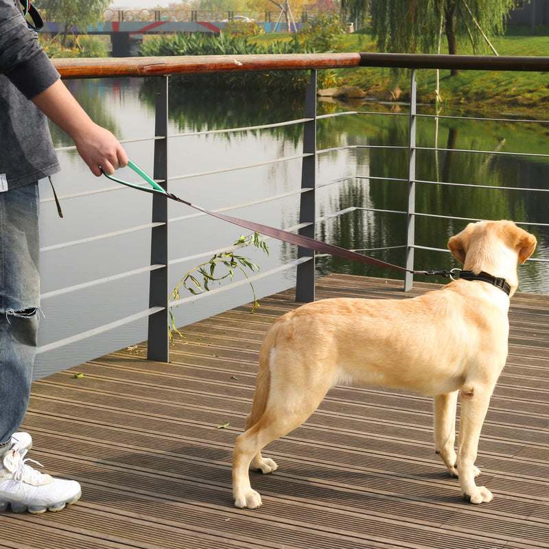 VIVAGLORY Dailyx Dog Leash, Puppy Leash for Training & Walking with Soft Padded Handle, Heavy Duty & Double Layer Nylon for Pet Puppy, 5ft x 1in, Grey Leash (5 ft. x 1 in.) - PawsPlanet Australia