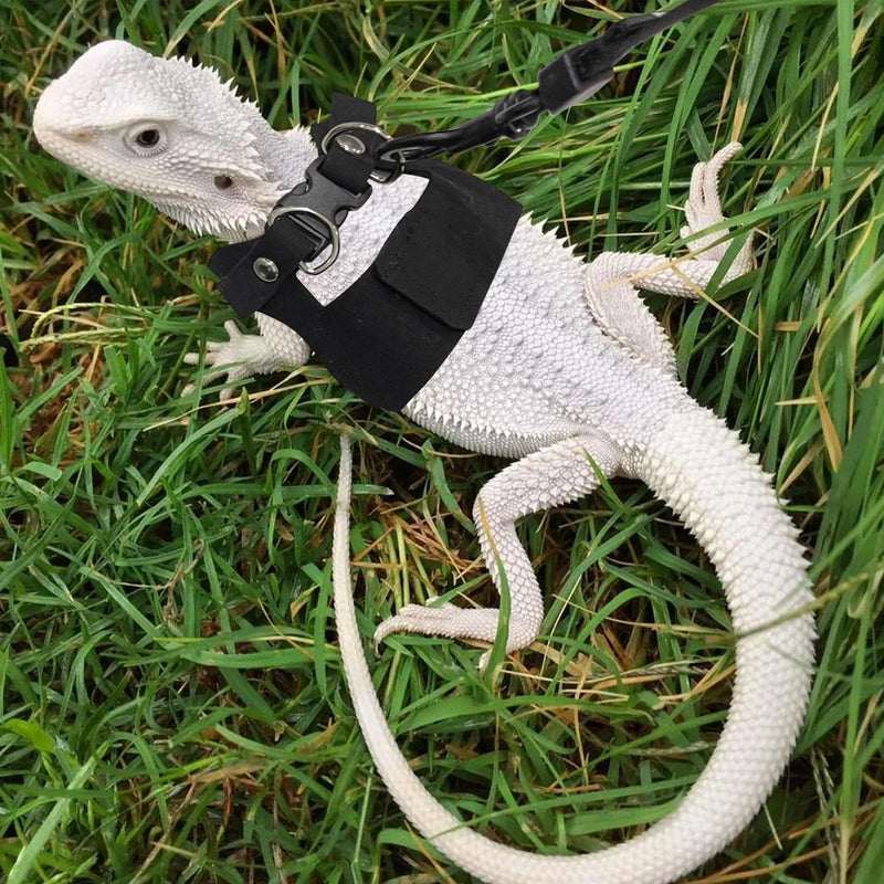 Bearded Dragon Harness and Leash Set, 3 Size Adjustable Soft Leather Reptile Leash, Lizard Harness with Retractable, Small Animal Outdoor Walking Vest with Traction Rope, 3 Pack, Black - PawsPlanet Australia