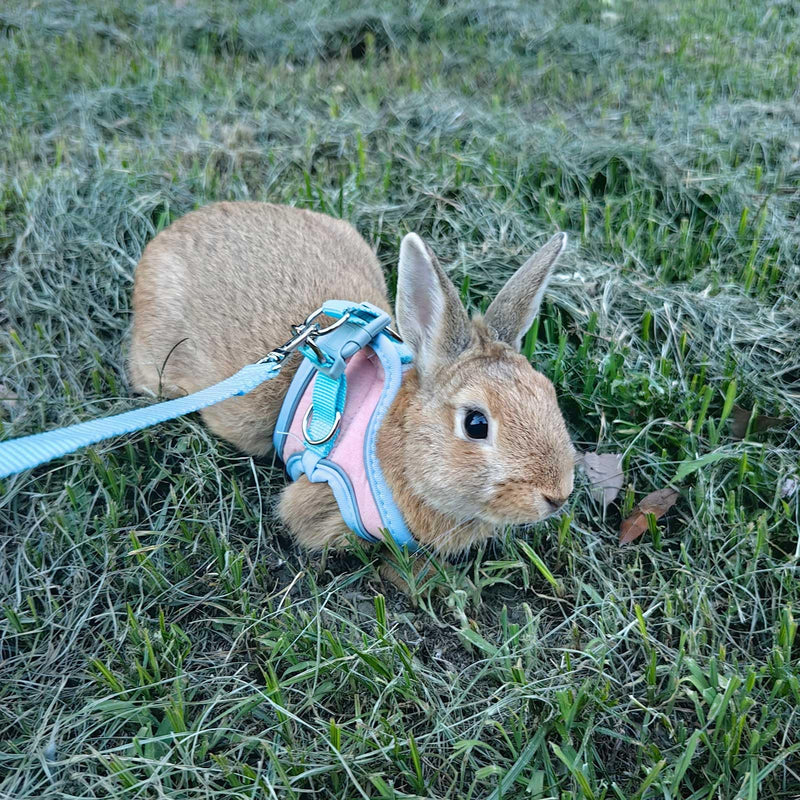 Adjustable Bunny Harness and Leash Set Double Buckle with Reflective Strips Rabbit Vest Pets Stuff Suitable for Rabbit Walks Accessories (Powder Blue, S) powder blue - PawsPlanet Australia