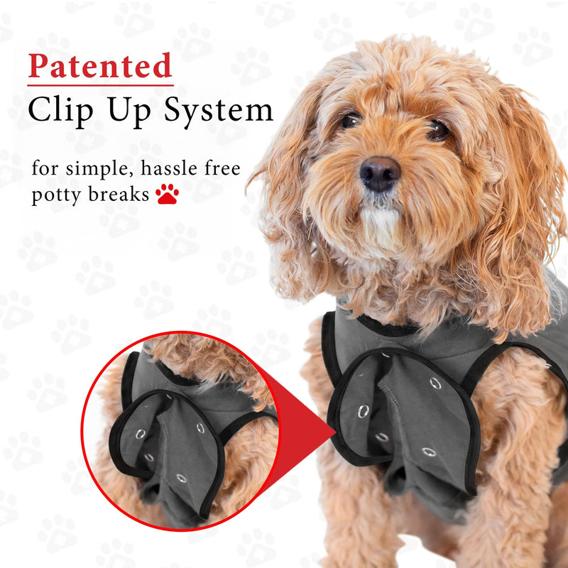 BellyGuard Recovery Suit for Dogs, After Surgery Dog Recovery Suit Female and Male, Soft Cotton Dog Surgery Suit Female Spay, Dog Surgical Recovery Suit Male Neuter, Comfy Surgical Onesie for Dogs. Large Grey - PawsPlanet Australia