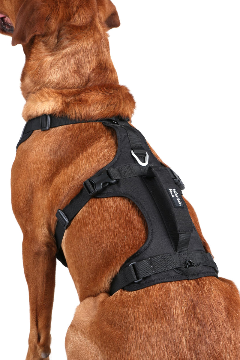 Mountain Paws 3-Strap Dog Harness | To Fit Chest Sizes 46–108cm, With Central Grab Handle And Reflective Piping Black Small - PawsPlanet Australia