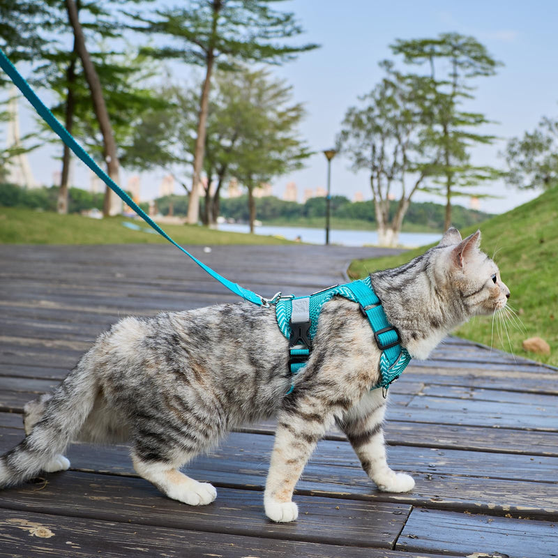 Cat Harness and Leash Escape Proof Extra Large Kitten Harness Maine Coon Cat Vest for Walking Travel, Turquoise, XL X-Large