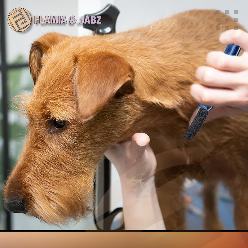 FLAMIA & JABZ Stripping Metal Stone Diamond Edged for Dogs, Cats & Pets with Plastic Grip (Coarse) Coarse Diamond Stone - PawsPlanet Australia