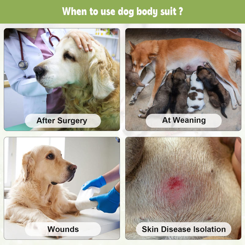 Dog Surgery Recovery Suit 2 Packs, Professional Pet Recovery Shirt Dog Abdominal Wounds Bandages for Male Female Pet Surgical Snugly Suit After Surgery Anti-Licking Dog Onesies XL XL Pack of 2 (Weight 40-70 LB) Blue & Green - PawsPlanet Australia