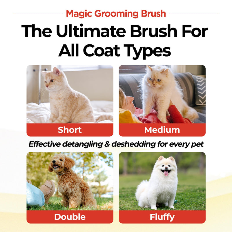 JAYU PET Magic Grooming Brush – Cat Brush for Shedding, Dual-Length Stainless Steel Bristles, One-Click Self-Cleaning, Vertical Deshedding Comb, Professional Pet Grooming Tool - PawsPlanet Australia