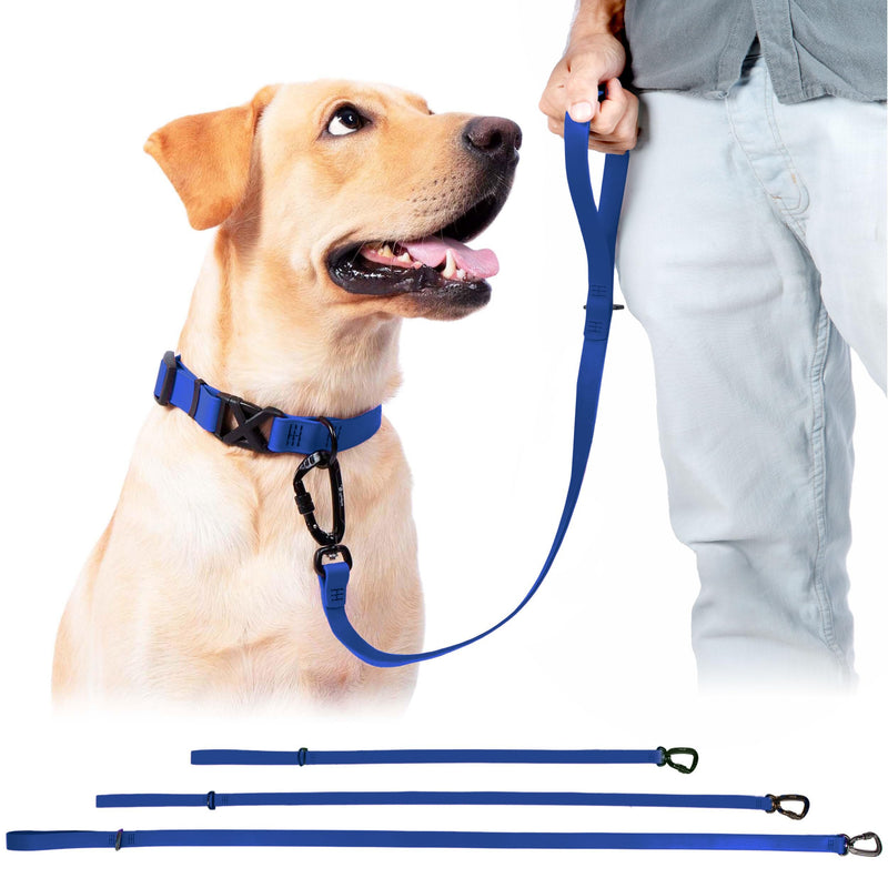 Essential Biothane Dog Leash, 3 Ft Training Lead, Cobalt Blue, Waterproof, Odor Proof, Made in USA, Self Locking Swivel Carabiner 3 Ft x 3/4" - PawsPlanet Australia