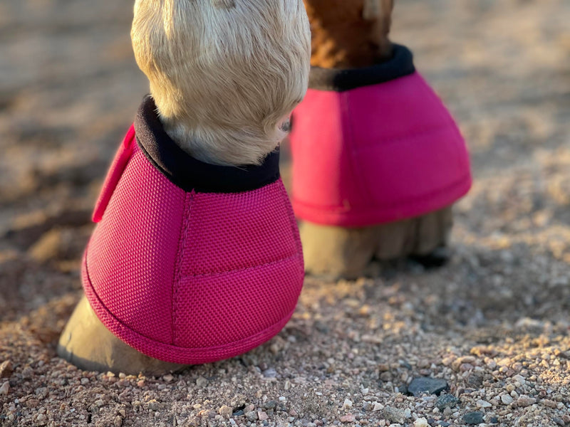 2520D Horse Bell Boots No-Turn Horse Bell Boots, Equine Ballistic Hoof Overreach Bell Boot, Pair Hot Pink Medium