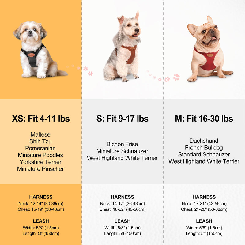 Beirui ?Stylish PU Leather Dog Harness? and Leash Set for Small Dogs, ?Adjustable Step in Puppy Harness with Breathable Mesh Lining and Durable Metal Buckle for Walking Traveling(Green,XS) XS: Fit 4-11lbs Green - PawsPlanet Australia