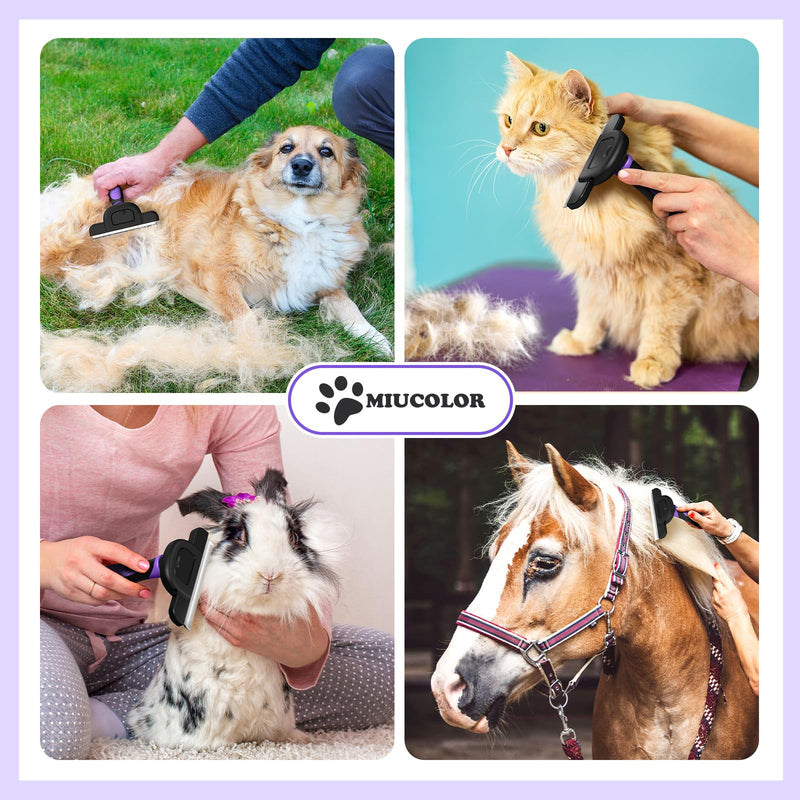 MIU COLOR Long Hair Pet Grooming Brush, Deshedding Tool for Medium and Large Dogs & Cats, Effectively Reduces Shedding by up to 95% for Pet Hair, Purple - PawsPlanet Australia