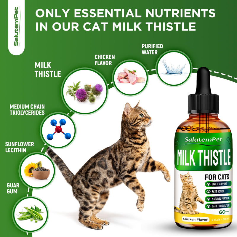 Milk Thistle for Cats | Cat UTI | Liver Support for Cats | Cat Milk Thistle | Feline UTI | Cat Cough | Milk Thistle Cats | Cat Urinary Tract | 2 Oz - PawsPlanet Australia