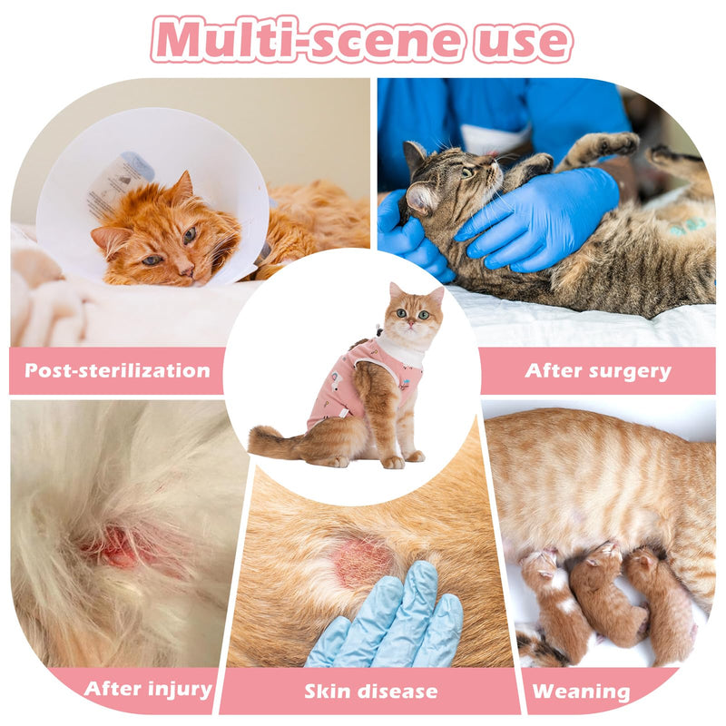 2Pack Cat Surgery Recovery Suit Clothes for Female and Male,Cat Onesie Shirts for Cats After Surgery,Cat Spay Surgical Recovery Suit,Cat Cone Collar to Stop Licking Abdominal Wound Alternative-L L - PawsPlanet Australia