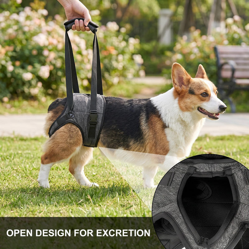 Adjustable Dog Lifting Harness | Hip Support Sling Arthritis Dog Harness Disabled Dog Sling Elderly Dog Lifting Strap | Fits Small Medium Big Breeds | Padded Straps for Walks Stairs Car Rides Rehab(M) M