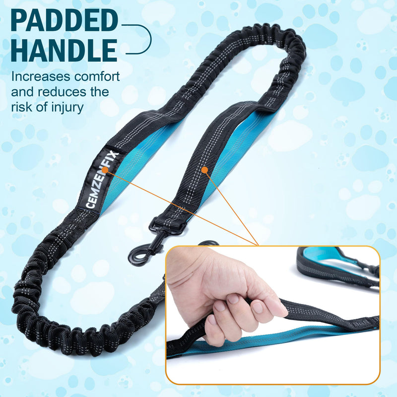Hands Free Dog Leash for 2 Dogs – Waist Leash for Dog Walking with Dual Bungee, Reflective No Pull Design, Adjustable Belt & Pouch for Running, Hiking, Jogging Black 2 Leash