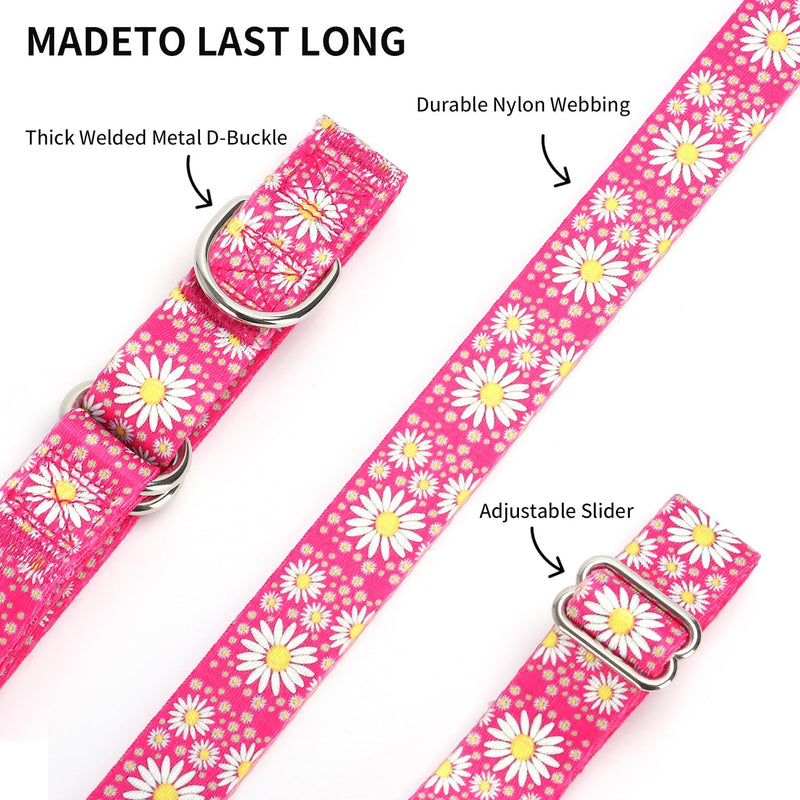 Martingale Collar for Dogs, Adjustable Soft Nylon Dog Collars with Design Cute Daisy Design Patterns for Small Medium Large Dog (Purple, Medium) Purple - PawsPlanet Australia