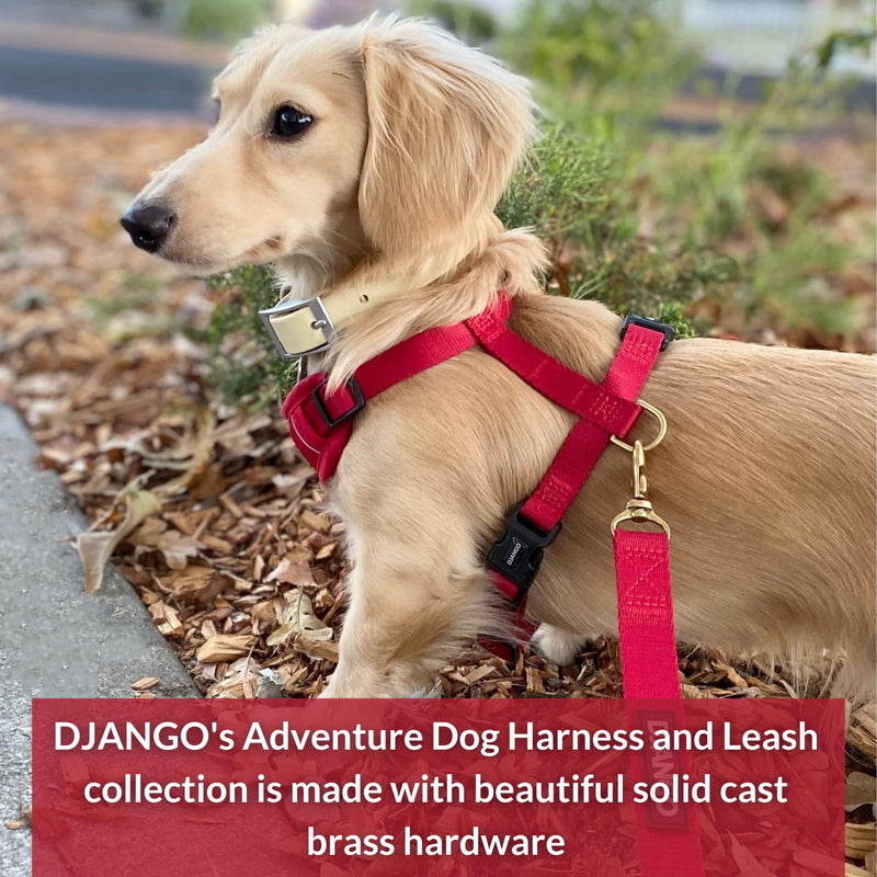 DJANGO Adventure Dog Leash – Strong, Comfortable, and Stylish Dog Leash with Solid Brass Hardware and Padded Handle - Designed for Outdoor Adventures and Everyday Use (Crimson Red) Crimson Red - PawsPlanet Australia