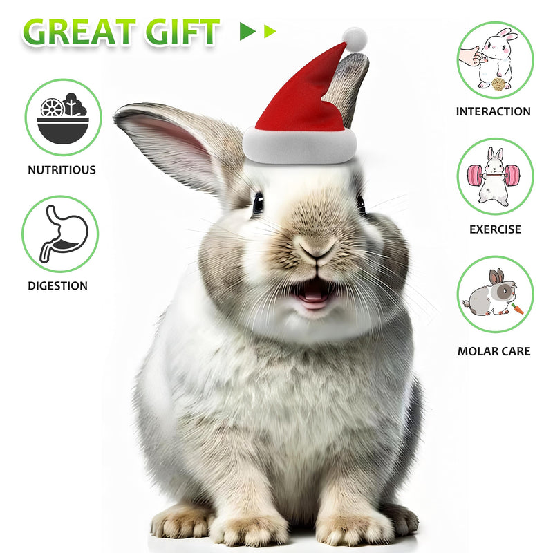 Rabbit Toys 13Pcs, Natural Hay Hamster Chew Toys for Teeth, Handmade Apple Wood Sticks Guinea Pig Bunny Toys 13PCS Set - PawsPlanet Australia