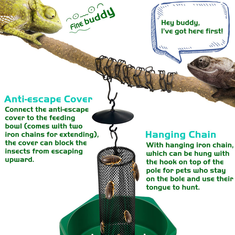 Hookable Chameleon Feeding Bowl, Professional Live Worm Organizer with Column for Prey to Climb and Move, Suitable for Lizard, Bearded Dragon, Iguana, Gecko, Toad, Frog