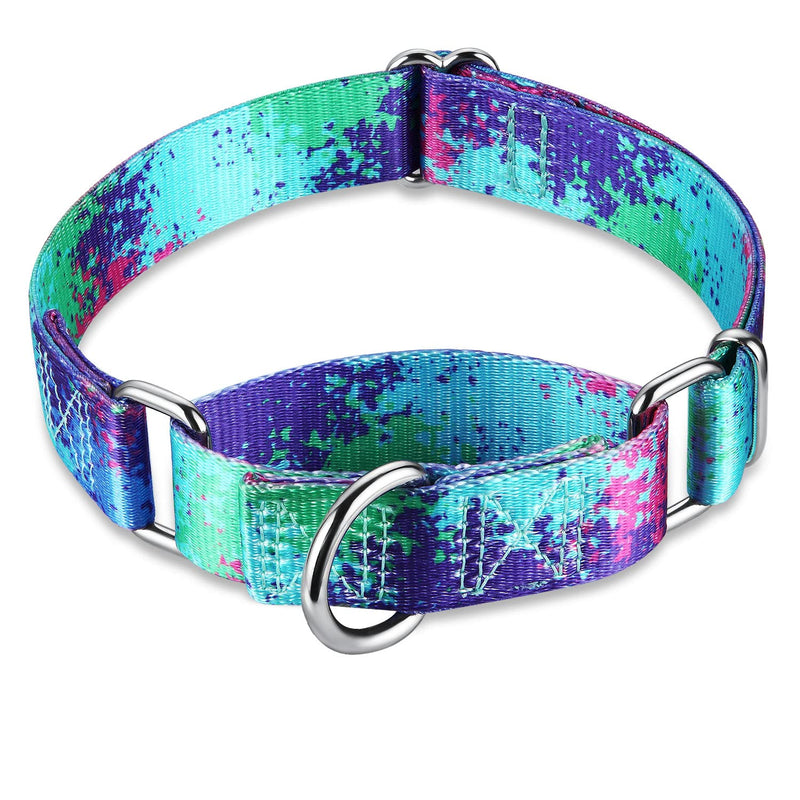 Martingale Dog Collar Escape-Proof for Training - No-Buckle, Durable Polyester Design for Medium Breeds (Ecological Oasis, M) M: 1" Width (14"-21") Ecology Oasis - PawsPlanet Australia