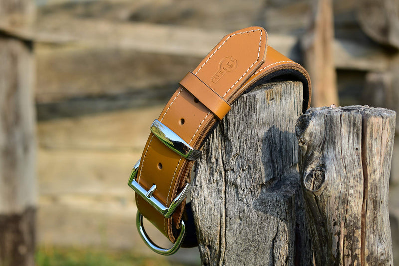 Vegetable-Tanned Leather Dog Collar for Large Dogs - Heavy Duty and Luxury Design Dog Collars (S: 1.2” Wide for 16.5”-19.5” Neck, Brown-Tan) S: 1.2” Wide for 16.5”-19.5” Neck - PawsPlanet Australia
