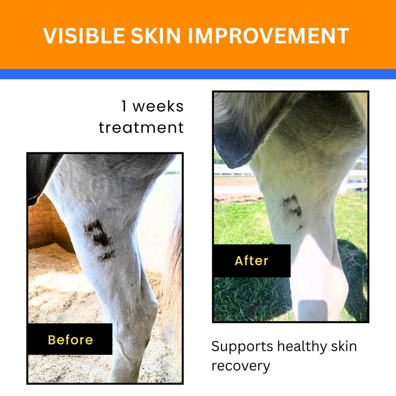 Jazzy’s Cream for Horses | Rain Rot Recovery Support | Equine Skin Cream for Scratches, Wounds & Irritated Skin 4 oz