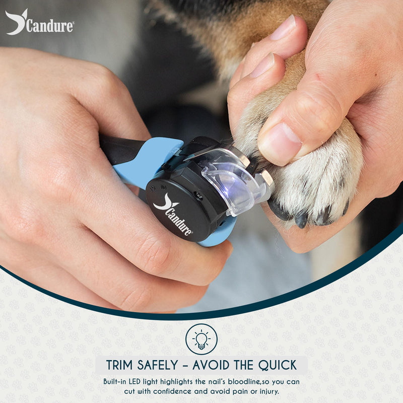 Candure LED Dog Nail Clippers with Light - Pet Nail Clippers with Light for Dogs & Cats, Sharp Stainless Steel Blades for Thick Nails, Safe Grooming Trimmer with Nail File (Sky Blue) Sky Blue Pet Clipper with LED Light - PawsPlanet Australia