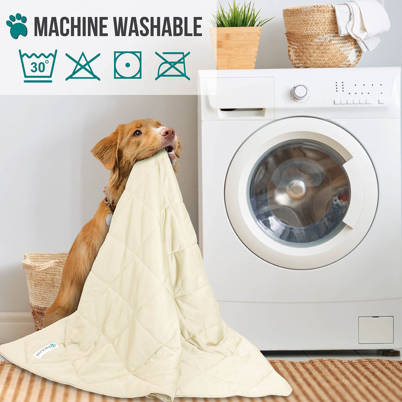 PetAmi Premium Cooling Dog Blanket | Lightweight Fluffy Pet Throw Blanket Bed Cover for Dogs, Cat, Puppies | Pet Blanket Furniture Protector Couch Sofa | Reversible Fuzzy Cozy | 40x60, Beige Latte Beige Cream Large (40x60) - PawsPlanet Australia
