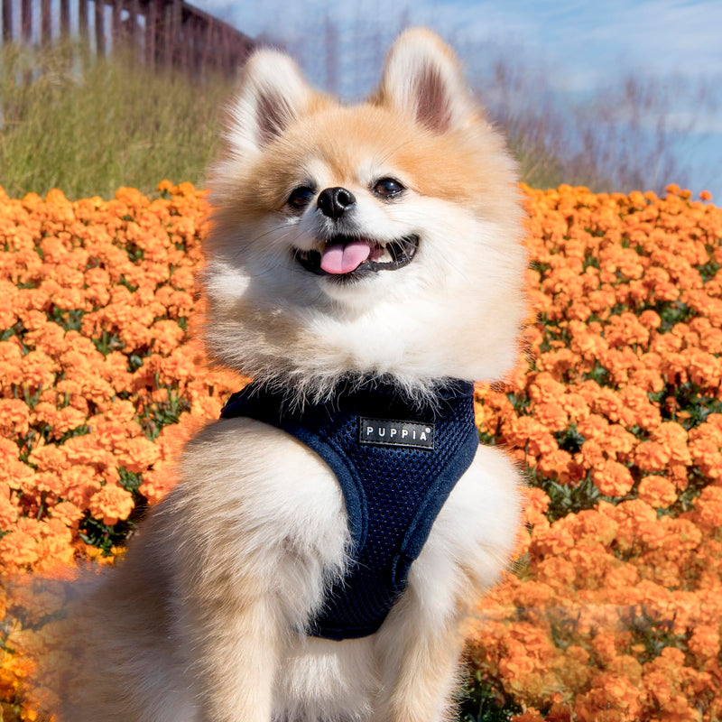 Puppia Dog Harness small dog and medium dog - Soft Vest in many colours - Also usable as Puppy Harness - Anti Pull Dog Lead, Navy, L - PawsPlanet Australia