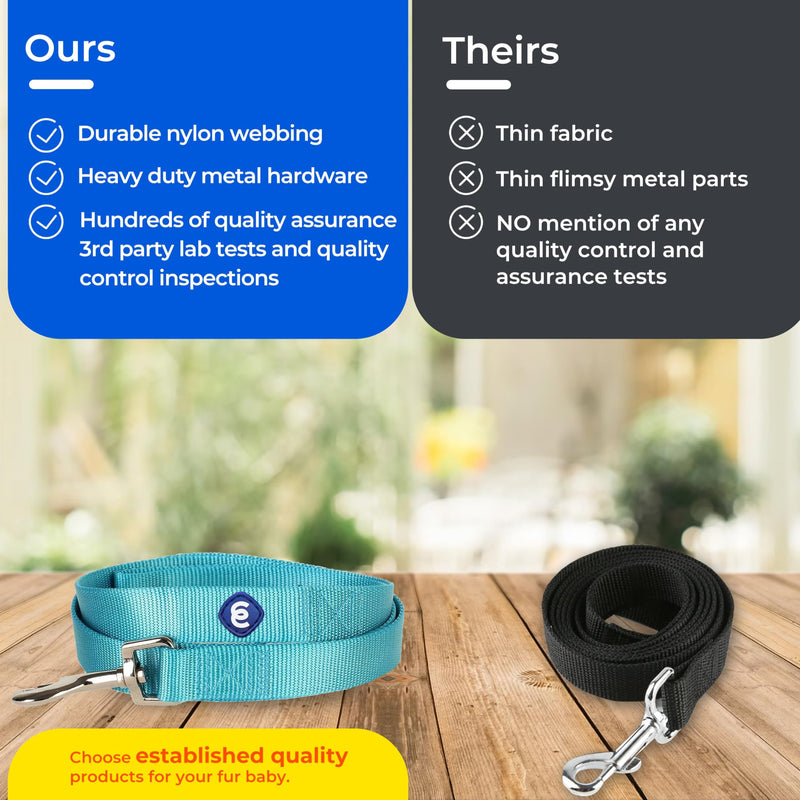 Blueberry Pet Essentials Emerald Dog Leash for Small -5' * 5/8" Dogs | Heavy Duty Nylon Lead | Lightweight Puppy & Cat Leash for Walking & Training - PawsPlanet Australia