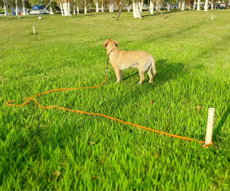 35FT Tie Out Rope Dog Leash, Long Tether 8-10-13-15-20-25-30-40-50-65 FT Heavy Duty Nylon Check Cord for Medium Large Dogs Outdoor Playing Camping Backyard (Black, 3/8") 3/8" x 35ft black - PawsPlanet Australia