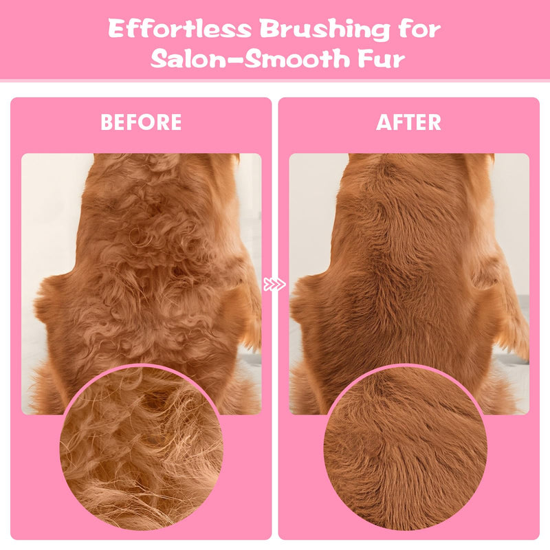 6-Pack Flea Comb for Dogs and Cats, Fine & Wide Tooth Stainless Steel Lice Comb, Tick Removal Tool, Tear Stain Remover, Dematting Brush - Professional Pet Grooming Kit for All Types of Pets - PawsPlanet Australia