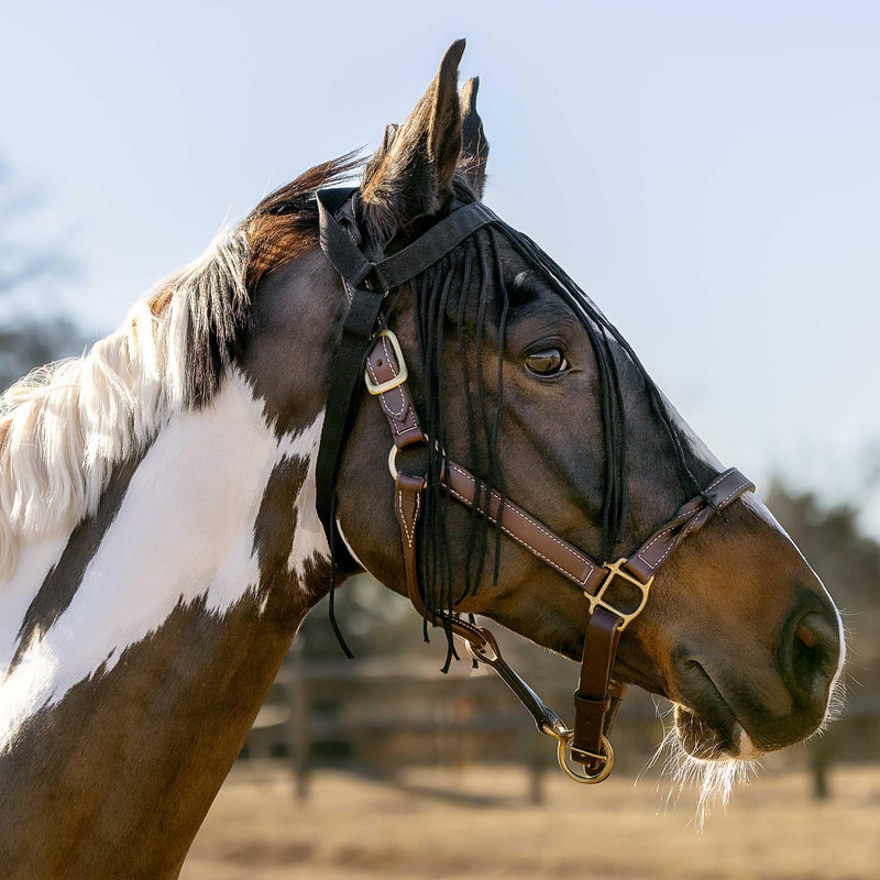 Horze Simple Lightweight Insect and Fly Veil for Sensitive Horses - No Halter Needed - Black - M