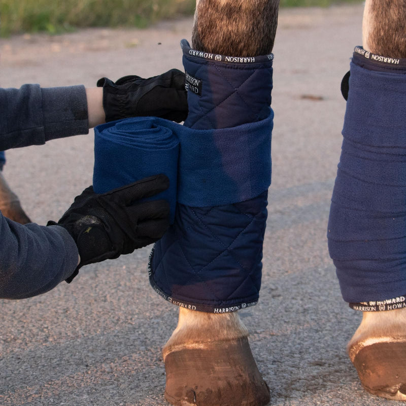Harrison Howard Medicine-Retaining Shock-Absorbing Pressure Sores Prevention Quilted Leg Wraps for Horse Set of 4-Navy L Large Navy - PawsPlanet Australia