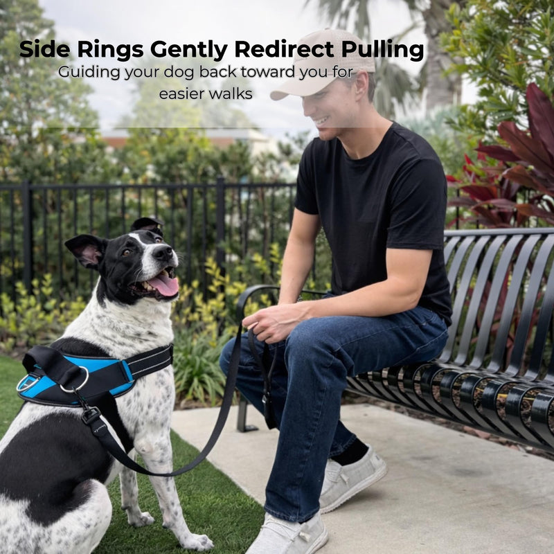 ShawnCo Essential Dog Harness, No-Pull Pet Vest with 3 Leash Clips, No Choke, Reflective, Adjustable and Padded, for Easy Walking and Training for Small Dogs (Mustang Red, S) Mustang Red - PawsPlanet Australia