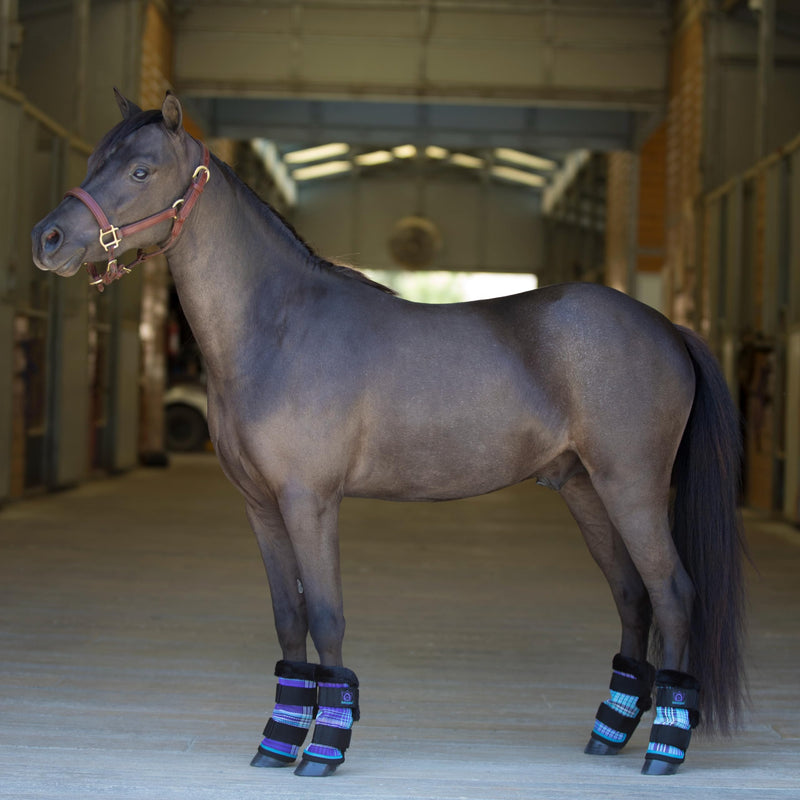 Kensington KPP Miniature Horse Fly Boots - Fly Pony Horse Boots Perfect for Equine Leg Wraps and Maximum Horse Fly Protection 2017-Lavender Mint - PawsPlanet Australia