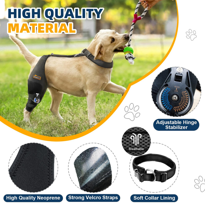 CHAMIN Adjustable Dog Knee Brace for Torn ACL Hind Leg, Support for Tear Ligament, Osteoarthritis, Rear Leg Limp, Recovery After Surgery,et(Right Leg,XL) Right Leg XL