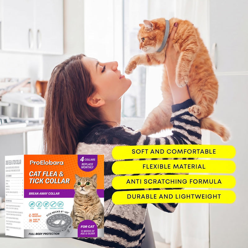 Flea Tick Prevention Collars for Cats: Essential Oil-Based Collar for 4 Month Support - Natural Fleas Ticks Breakaway Collar for Large & Small Cat, Outdoor Fleas Ticks Control for Kittens Gray